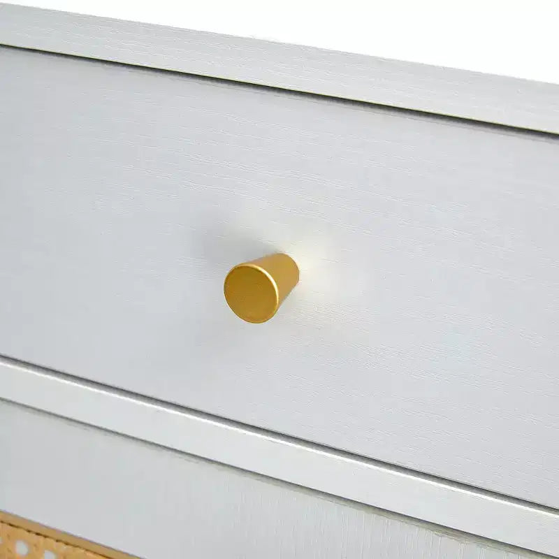 Meuble à chaussures en rotin avec rangement, 2 tiroirs et étagère inférieure, convient pour les entrées, les chambres et les salons.